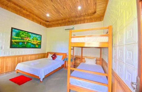 Son Trach Apartment | Phong Nha Dawn Home