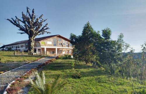 Marinilla Other | PIA COLOMBIA
