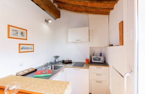 Pisa City Centre Apartment | Piazza dei Cavalieri Orange Attic Apartment