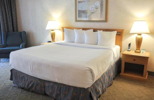 Raisin Hotel | Piccadilly Inn Airport