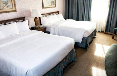 Raisin Hotel | Piccadilly Inn Airport