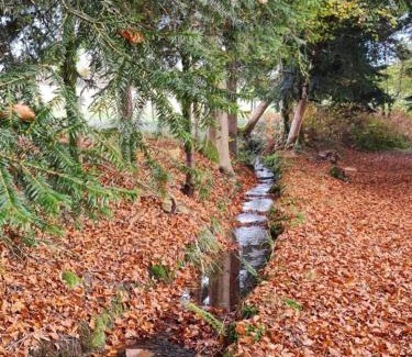 Vallee du Breuchin Bed & Breakfast | Pied des Milles Etang - Les Capucins