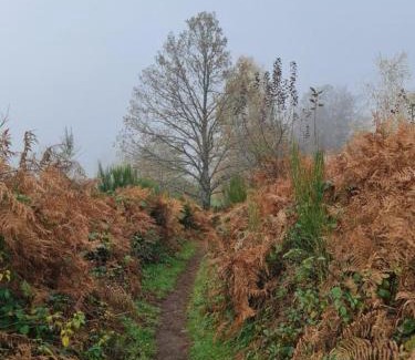 Vallee du Breuchin Bed & Breakfast | Pied des Milles Etang - Les Capucins