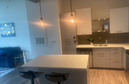 Peachtree Center Apartment | Piedmont Perch