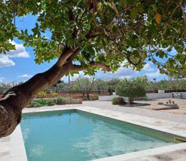 Locorotondo Bed & Breakfast | Pietra Pesara