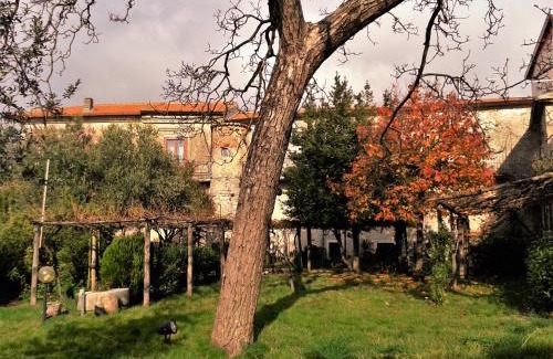 Trentinara Bed & Breakfast | PietrAnticA