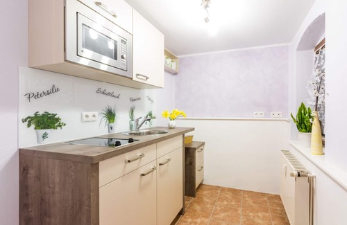 Pillnitz Apartment | Pillnitz vineyard view and castle view