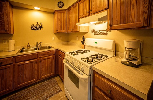 Land O Lakes Cabin | Pine Bluff Cottage (Unit 3)