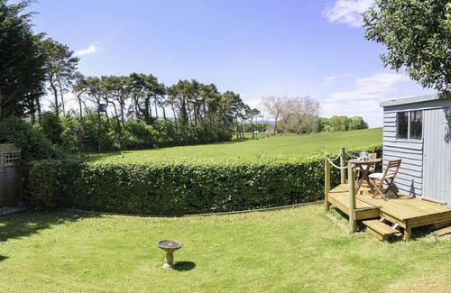Old Cleeve Cottage | Pine in Cleeve Park Near Blue Anchor