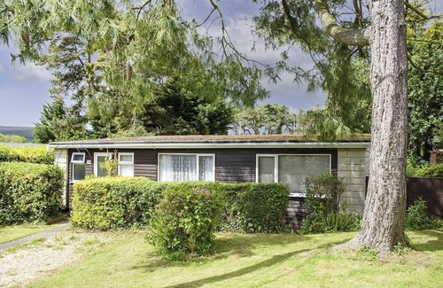 Old Cleeve Cottage | Pine in Cleeve Park Near Blue Anchor