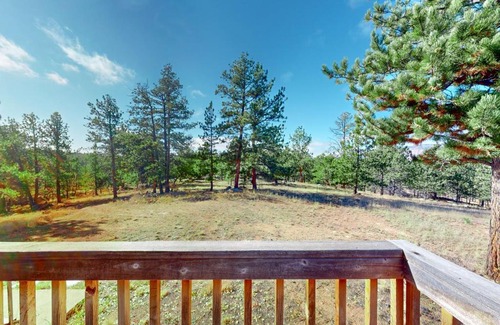 Florissant House | Pine Perch