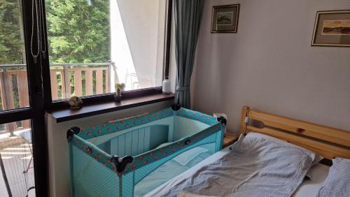 Borovets Apartment | Pine Tree Apartment/Borovets Gardens
