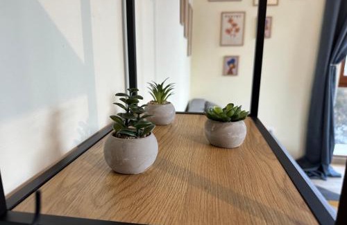 Shiligarnika Apartment | Pine Tree - charming apartment