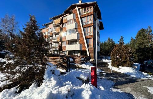 Shiligarnika Apartment | Pine Tree one bedroom apartment