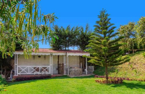 Ooty Villa | Pine View Stay Ooty
