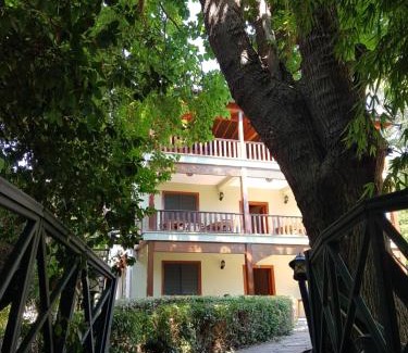 Cirali Hotel | Pinea Pansiyon