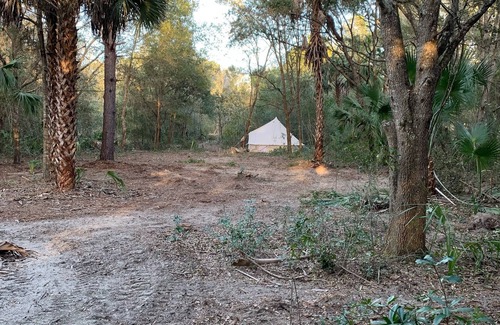 Crystal River RV Rental | Pineapple Glamping CAMP GROUND