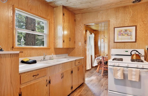 Fawnskin Cabin | Pinglewood Cabin #2096