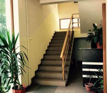 Baile Herculane House | Pinul Negru