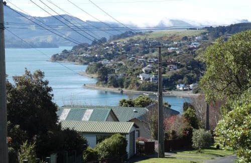 Dunedin Bed & Breakfast | Piringa