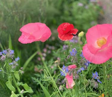 Lochearnhead Bed & Breakfast | Place of architectural interest The Croft