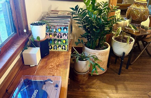 Mississippi District House | Plant-Filled Boho Retreat, Walk to Coffee & Eats
