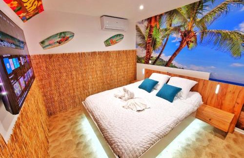 Muntzenheim Apartment | PLAYA SPA-4 Pers-Jacuzzi-Parking-Jardin-Clim-Colmar