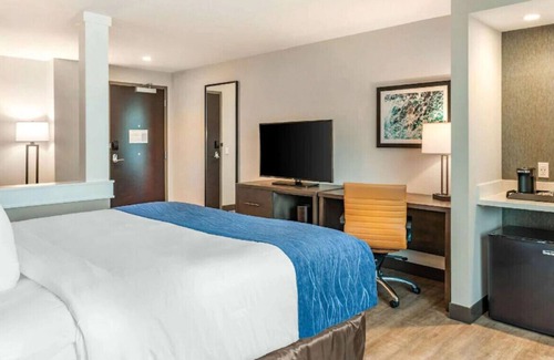 Miami Springs House | Pleasant Suite! Nice Amenities, Bar & Gym!