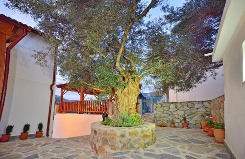 Plokamiana House | Plokamos House