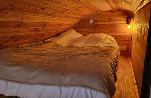 Ales Cabin | POD es Aqui