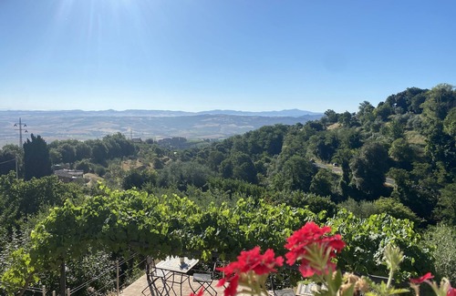 Montalcino Apartment | Podere Belsogno-apartment rose garden