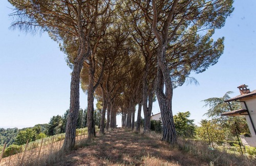 Ramazzano Apartment | Podere Caldaruccio La Pineta - Torretta