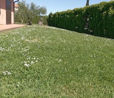Campiglia Marittima Apartment | Podere Casalpiano Campiglia Marittima BARATTI POPULONIA Bella Tuscany
