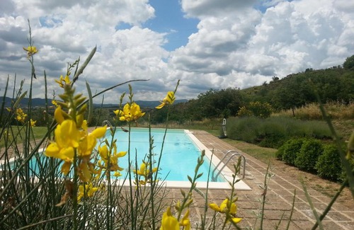 Cinigiano Apartment | Podere Erba appartamento con piscina