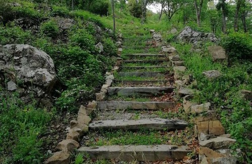 Arcidosso Villa | Podere Frassinelli, casa nel bosco