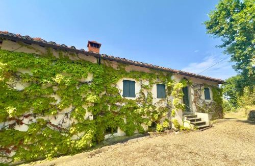 Reggello Villa | Podere Il Cellaino