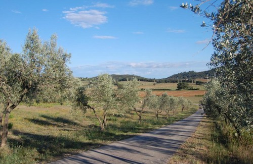 Massa Marittima Villa | Podere Il Fico