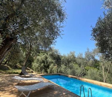 Massarosa Villa | Podere Il Piantoneto
