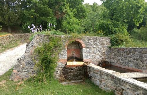 Massa Marittima House | Podere Pancoli