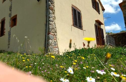 Massa Marittima House | Podere Pancoli