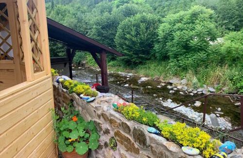 Cartisoara Cabin | Podul De Brazi
