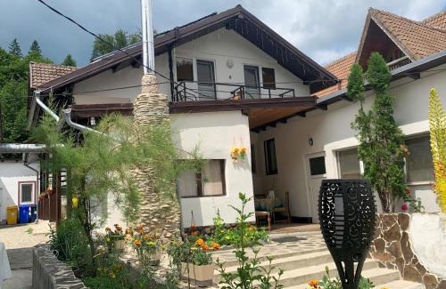 Cartisoara Cabin | Podul De Brazi