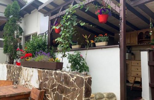 Cartisoara Cabin | Podul De Brazi