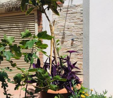 Poetto Apartment | Poetto seaside