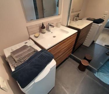 Lille Hotel | Polar bear Apartments in Lille