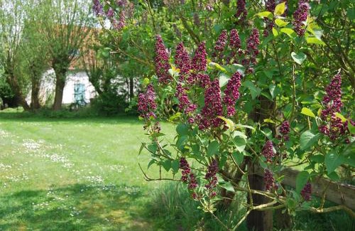Blankenberge Bed & Breakfast | Polderlicht