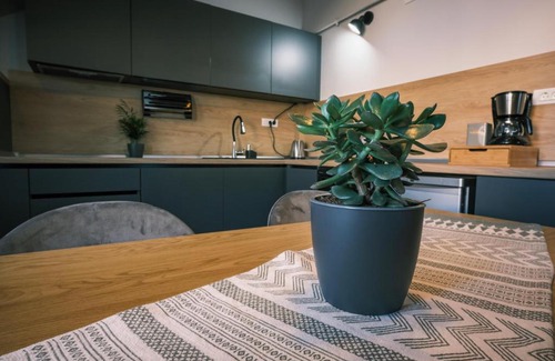 Cluj-Napoca Apartment | Popa Apartment