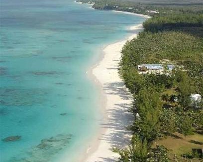 North Palmetto Point House | Poponi House home