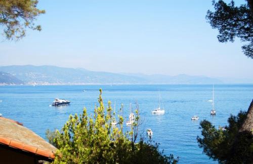 Pedale Apartment | Portofino Seaview Apartment, 50 meters from the beach, free parking, air conditioning