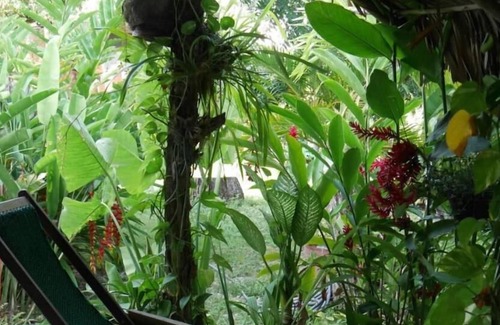 Xul-Ha Hotel | Posada ixchel